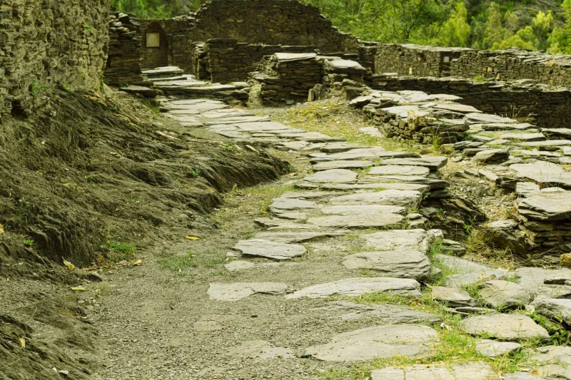 Senderos con memoria: cómo leer un territorio como si fuera un libro abierto
